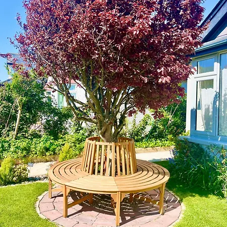 Bed & Breakfast The Artist Dublin Boutique