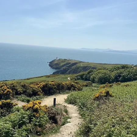 The Artist Dublin Boutique