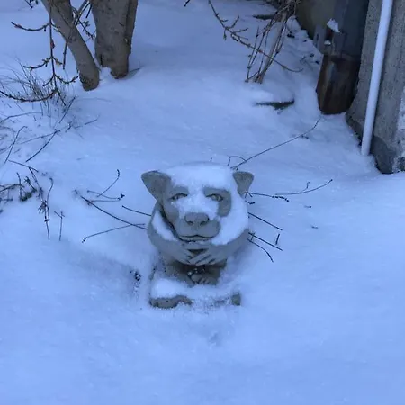 The Artist Dublin Boutique B&B