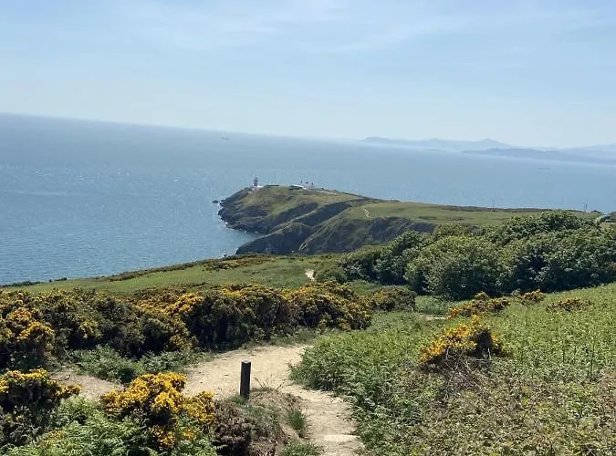 The Artist Dublin Boutique