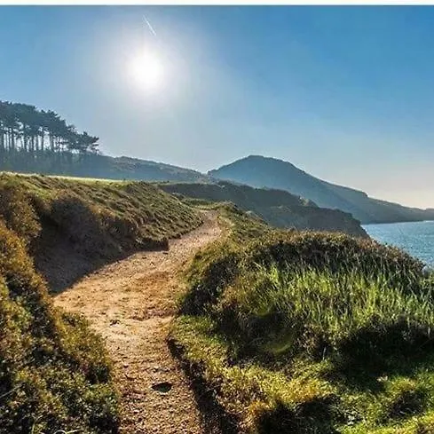 ベッド・アンド・ブレックファスト The Artist Dublin Boutique